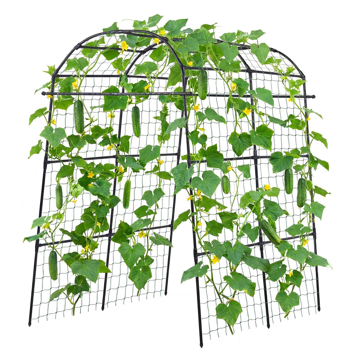 VEVOR Cucumber Trellis, U-Shape Garden Trellises for Raised Bed, Metal Arch Plant Support for Vine, Climbing Plants Outdoor, Peas, Beans, Zucchini, Tomato, Squash, Flower (70.87 x 44.09 x 82.99 in) - BSGXHGPJBSGCWVYEB001V0 - view 10
