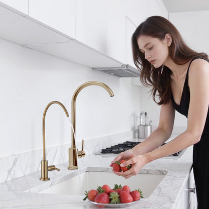 VEVOR Stainless Steel Faucet, Lead-Free Water Purifier Faucet, Filter Water Faucets With Solid Brass Valve, Anti-Rust & Durability Ro Water Faucets For Kitchen, Bar Counter, Cafe Shop, Brushed Gold - BXGZTBSGLSLTDWK7L001V0 - view 9