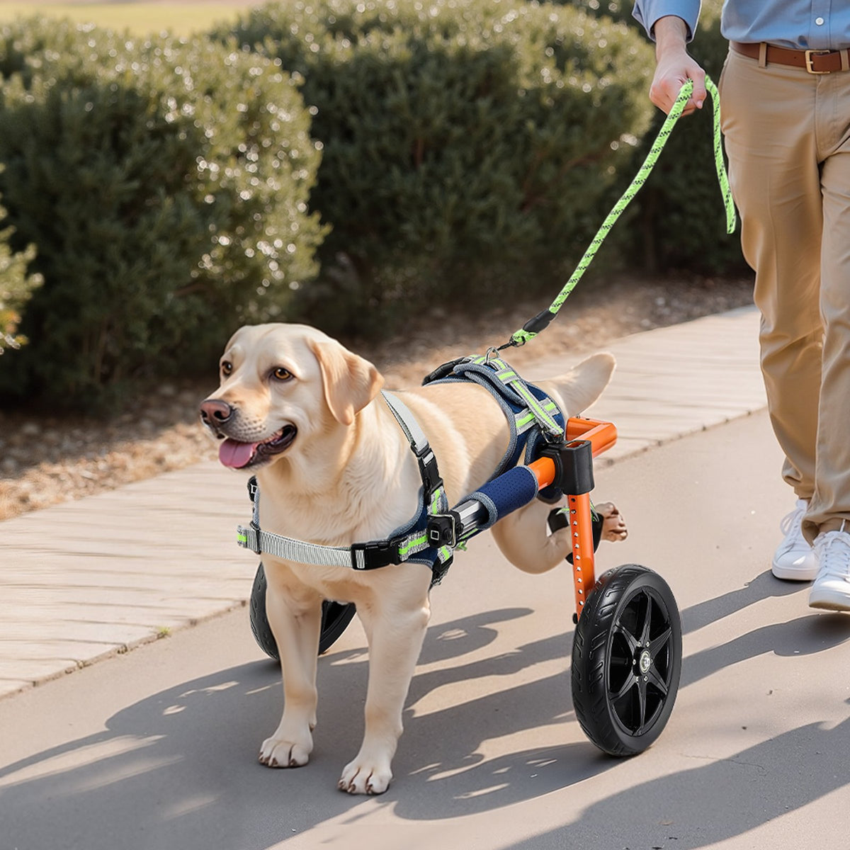 VEVOR Dog Wheelchair for Back Legs, Lightweight 2 Wheels Pet Wheelchair, Height, Width & Length Adjustable, Dog Cart with Shock-Absorbing Wheels, for Injured, Disabled Dogs 35-48 lbs, Medium - CWLYLLSDHLLLEG3Z4001V0 - view 9