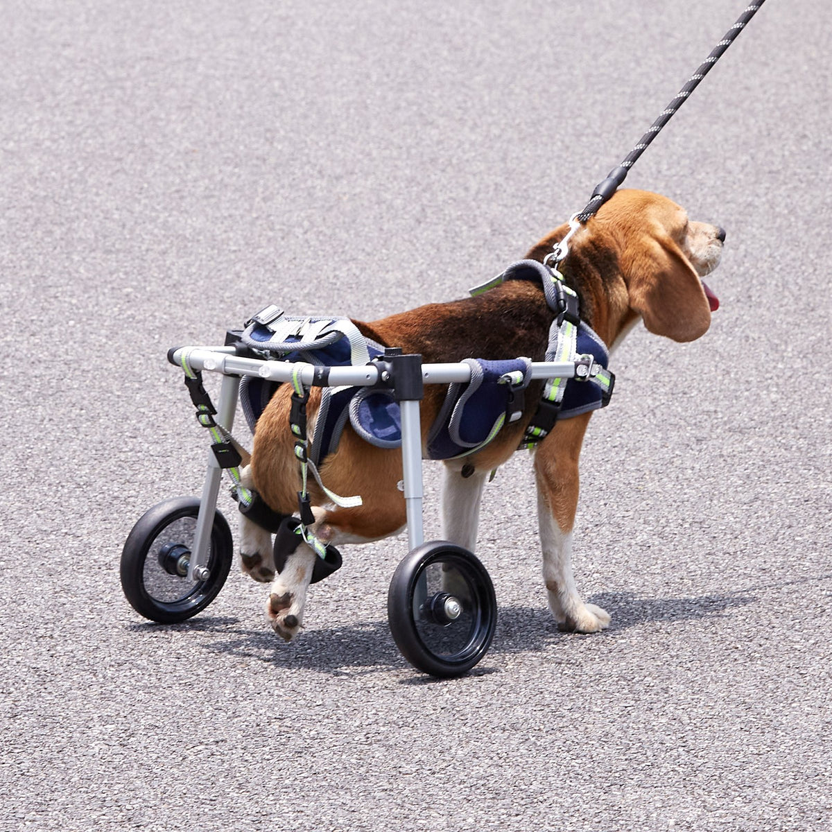VEVOR 2 Wheels Dog Wheelchair for Back Legs, Pet Wheelchair Lightweight & Adjustable Assisting in Healing,  Dog Cart/Wheelchair for Injured, Disabled, Paralysis, Hind Limb Weak Pet(XS) - CWLYLLSLLSTXPGG1QV0 - view 9