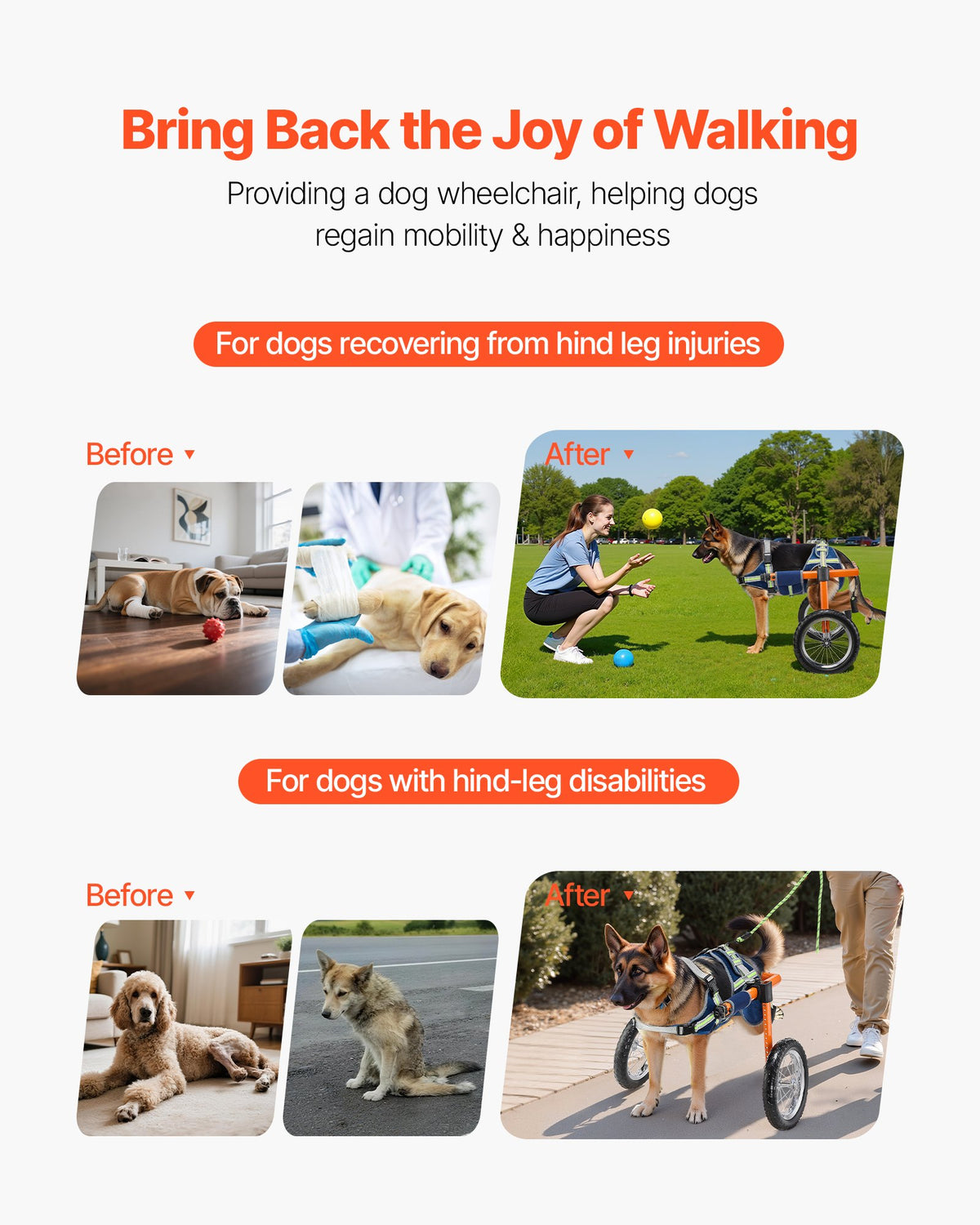 VEVOR Dog Wheelchair for Back Legs, Lightweight 2 Wheels Pet Wheelchair, Height, Width & Length Adjustable, Dog Cart with Shock-Absorbing Wheels, for Injured, Disabled Dogs 48-88 lbs, Large - CWLYLLSTDHXL2W9B4001V0 - view 3