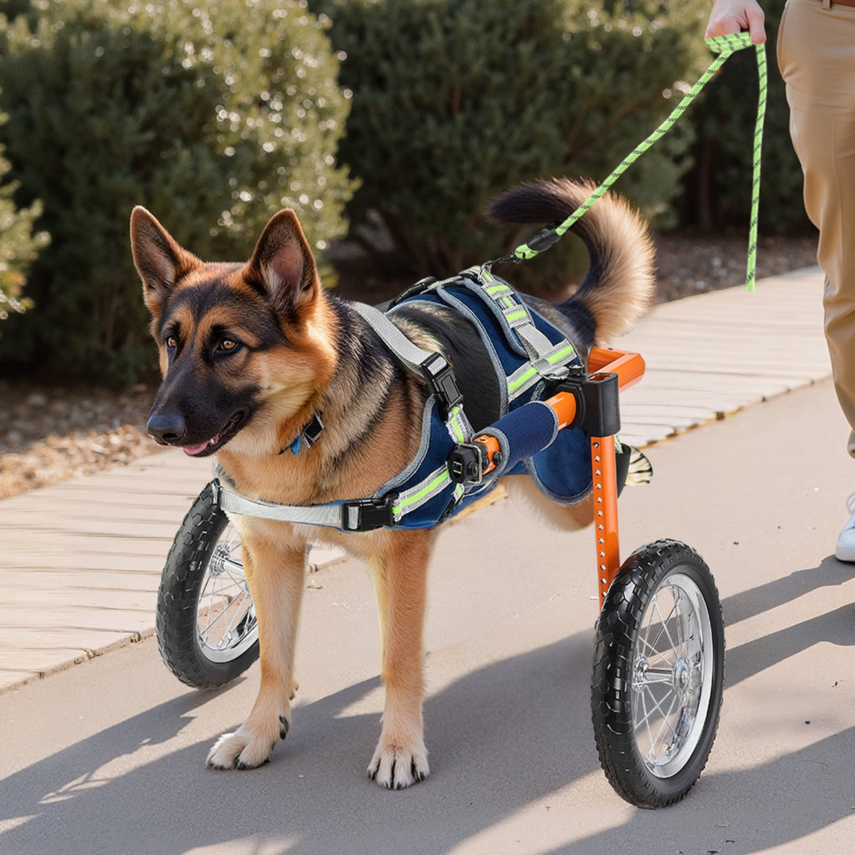 VEVOR Dog Wheelchair for Back Legs, Lightweight 2 Wheels Pet Wheelchair, Height, Width & Length Adjustable, Dog Cart with Shock-Absorbing Wheels, for Injured, Disabled Dogs 48-88 lbs, Large - CWLYLLSTDHXL2W9B4001V0 - view 9