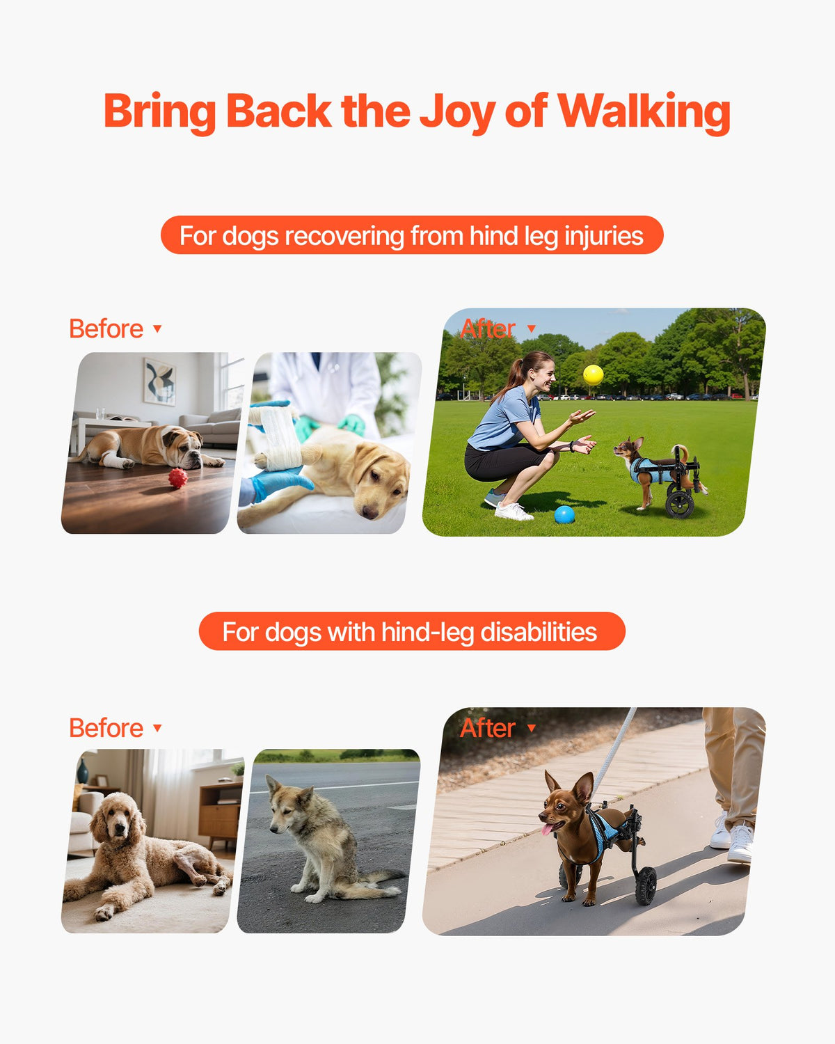 VEVOR Dog Wheelchair for Back Legs, Adjustable 2 Wheels Pet Wheelchair, Lightweight  Dog Cart with Shock-Absorbing Wheels, Mobility Support Wheel Chair for Disabled Injured Dogs up to 22lbs , X-Small - CWLYLLSTXHXSMLDHY001V0 - view 3