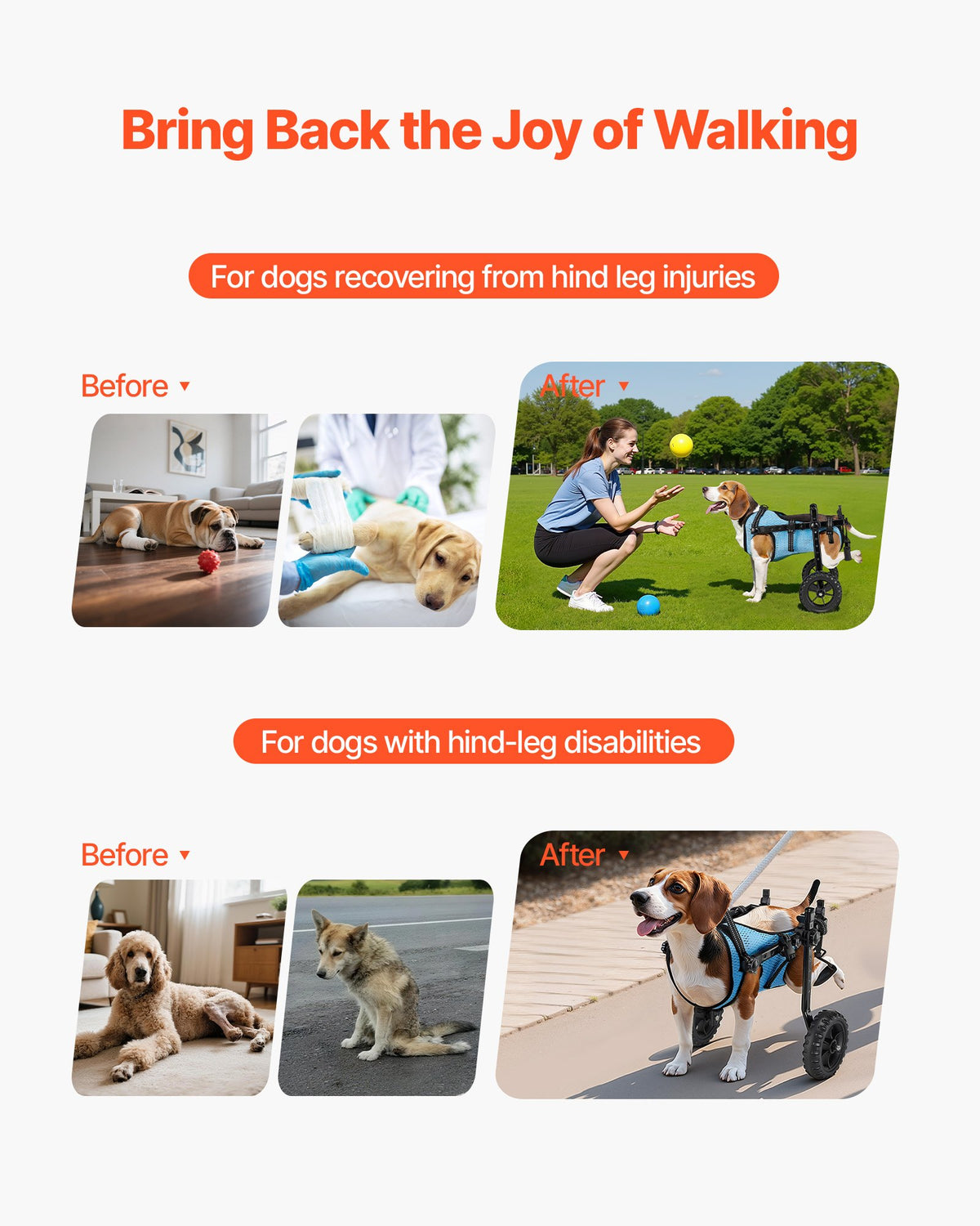 VEVOR Dog Wheelchair for Back Legs, Adjustable 2 Wheels Pet Wheelchair, Lightweight  Dog Cart with Shock-Absorbing Wheels, Mobility Support Wheel Chair for Disabled Injured Dogs up to 22lbs, Small - CWLYLLSXHSLLCWMCK001V0 - view 3