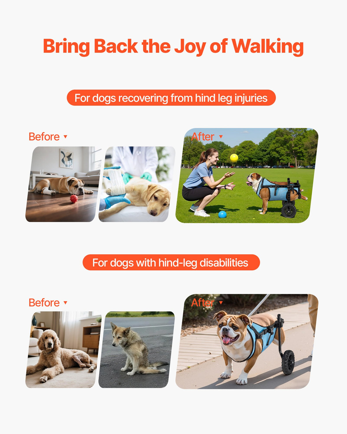 VEVOR Dog Wheelchair for Back Legs, Adjustable 2 Wheels Pet Wheelchair, Lightweight  Dog Cart with Shock-Absorbing Wheels, Mobility Support Wheel Chair for Disabled Injured Dogs up to 22lbs, Medium - CWLYLLSZHMLLG0BX1001V0 - view 3