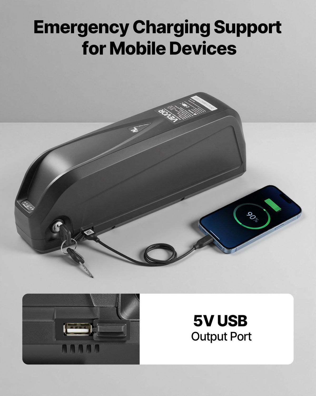 VEVOR Ebike Battery, 48V 20Ah Electric Bike Lithium Battery Pack with BMS, USB Charge Port, 3A Charger & Lock for 1500W E-Bike Motor, Detachable Electric Bicycle Replacement Kit with Discharge Socket - DDZXCDCXGAZ4PTKTA001V1 - view 7