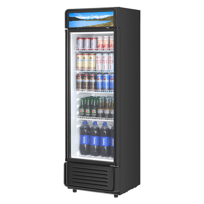 VEVOR Commercial Merchandiser Refrigerator, 9.7 CU.FT Glass Door Display Refrigerator, Beverage Refrigerator Cooler Merchandiser with Adjustable Shelves, Soft LED Light, Customizable Lightbox, Black - DMBLMBXDDX97TIG9UV1 - view 1