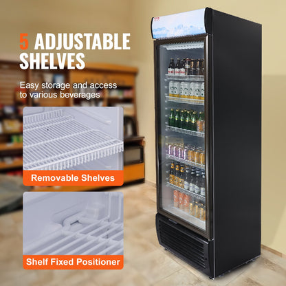 VEVOR Commercial Merchandiser Refrigerator, 14.8 Cu.Ft / 420L Beverage Refrigerator Cooler Merchandiser, Glass Door Display Refrigerator Upright Fridge with 5 Adjustable Shelves, Customizable Lightbox - DMYLZSBX148C6X3QNV1 - view 4