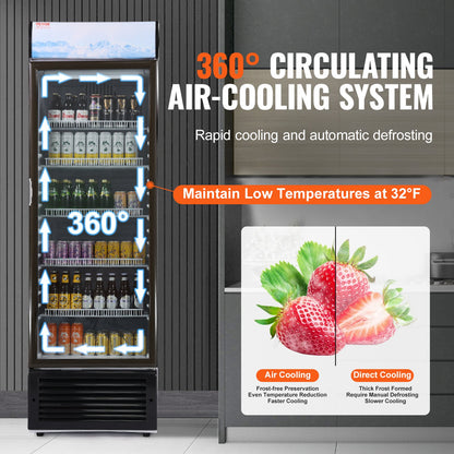VEVOR Commercial Merchandiser Refrigerator, 14.8 Cu.Ft / 420L Beverage Refrigerator Cooler Merchandiser, Glass Door Display Refrigerator Upright Fridge with 5 Adjustable Shelves, Customizable Lightbox - DMYLZSBX148C6X3QNV1 - view 6
