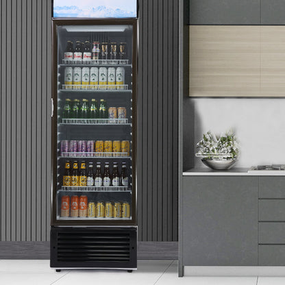 VEVOR Commercial Merchandiser Refrigerator, 14.8 Cu.Ft / 420L Beverage Refrigerator Cooler Merchandiser, Glass Door Display Refrigerator Upright Fridge with 5 Adjustable Shelves, Customizable Lightbox - DMYLZSBX148C6X3QNV1 - view 9