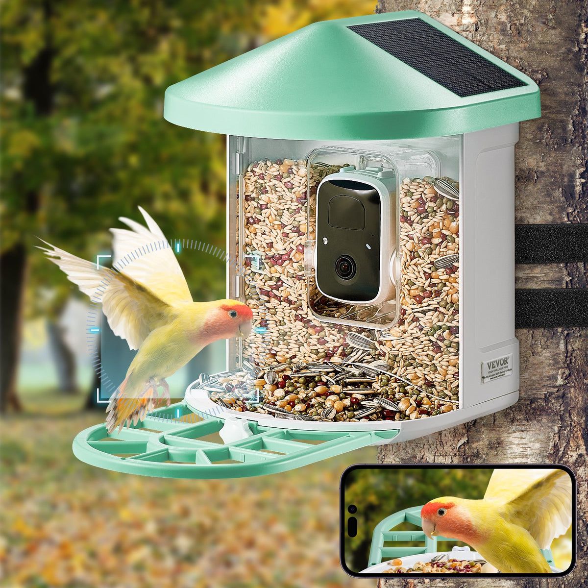 VEVOR Smart Bird Feeder with Camera, 2K HD AI Identify 10000+ Bird Species, Solar-Powered Bird Watching Camera with Auto Capture & Instant Notify, Wireless Outdoor Gift for Bird Lover (2 Solar Panels) - DSXTDWNQWDCMO30NNY3 - view 9