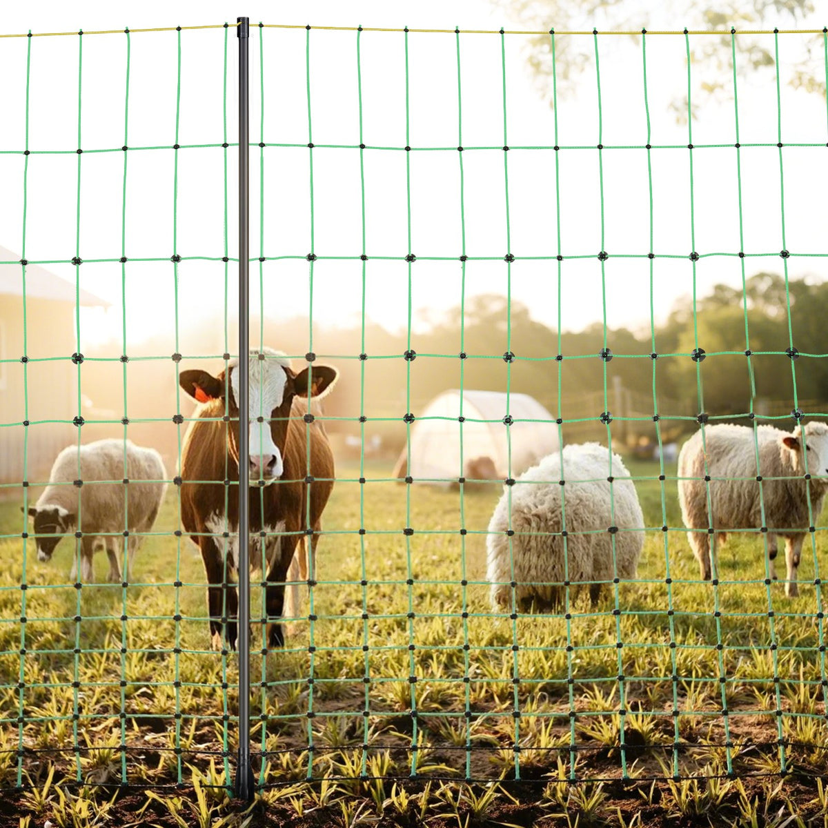 VEVOR Electric Fence Netting, 50" H x 164' L, Livestock Net Fencing with Posts & Stakes, Portable Mesh Nets for Goats, Sheep, Deer, Hogs, Dogs, Electric Fencing for Backyards, Gardens, Farms, Ranches - DXJCWLW50IN1GSPZF001V0 - view 9