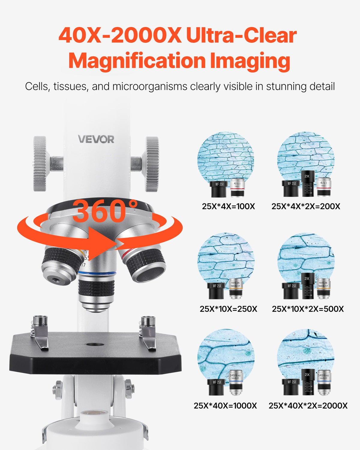VEVOR Microscope for Kids Adults, 40X-2000X Professional Compound Microscope Mobile Phone Adapter with LED Light, for Laboratory, School, Home, Education - DXWJ4X10X40XV6Z4A001V5 - view 3