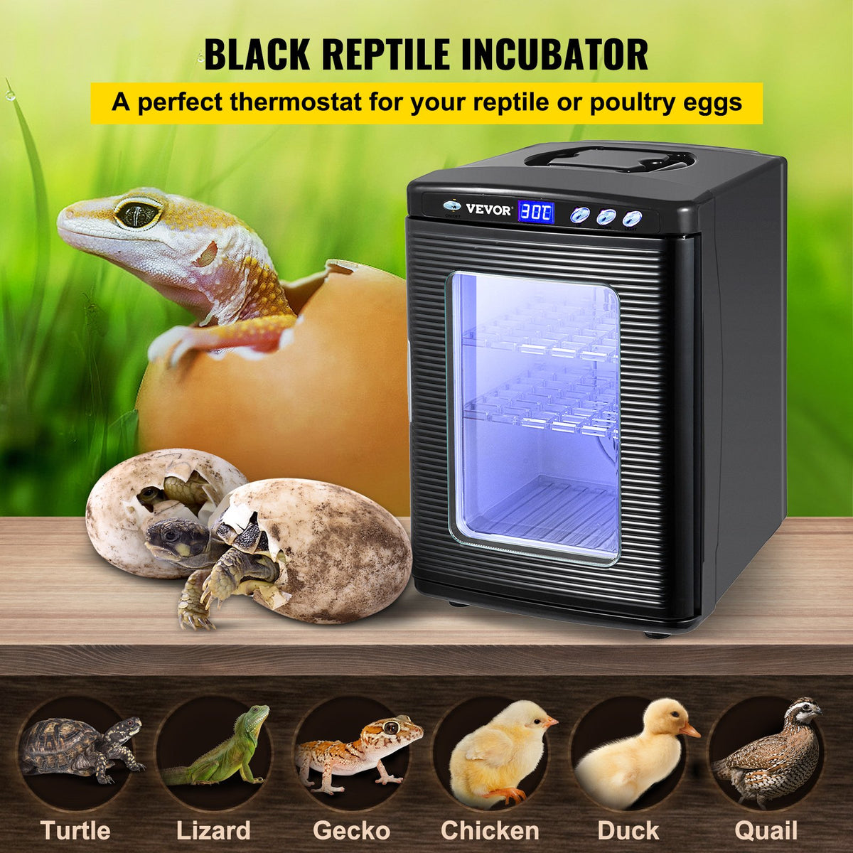 VEVOR Reptile Incubator - Select Your Configuration - FHQ25LHSFYQ5-6D01V1 - view 2