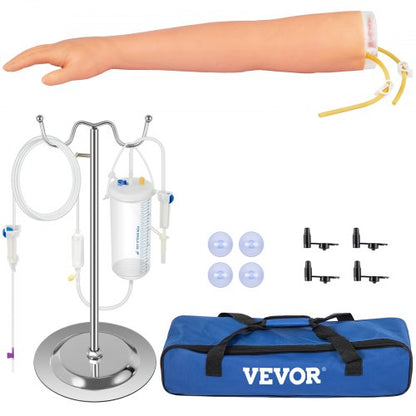 VEVOR Human Body Teaching Models - Select Your Configuration - JXMXTEACHINGMODELV0 - view 1