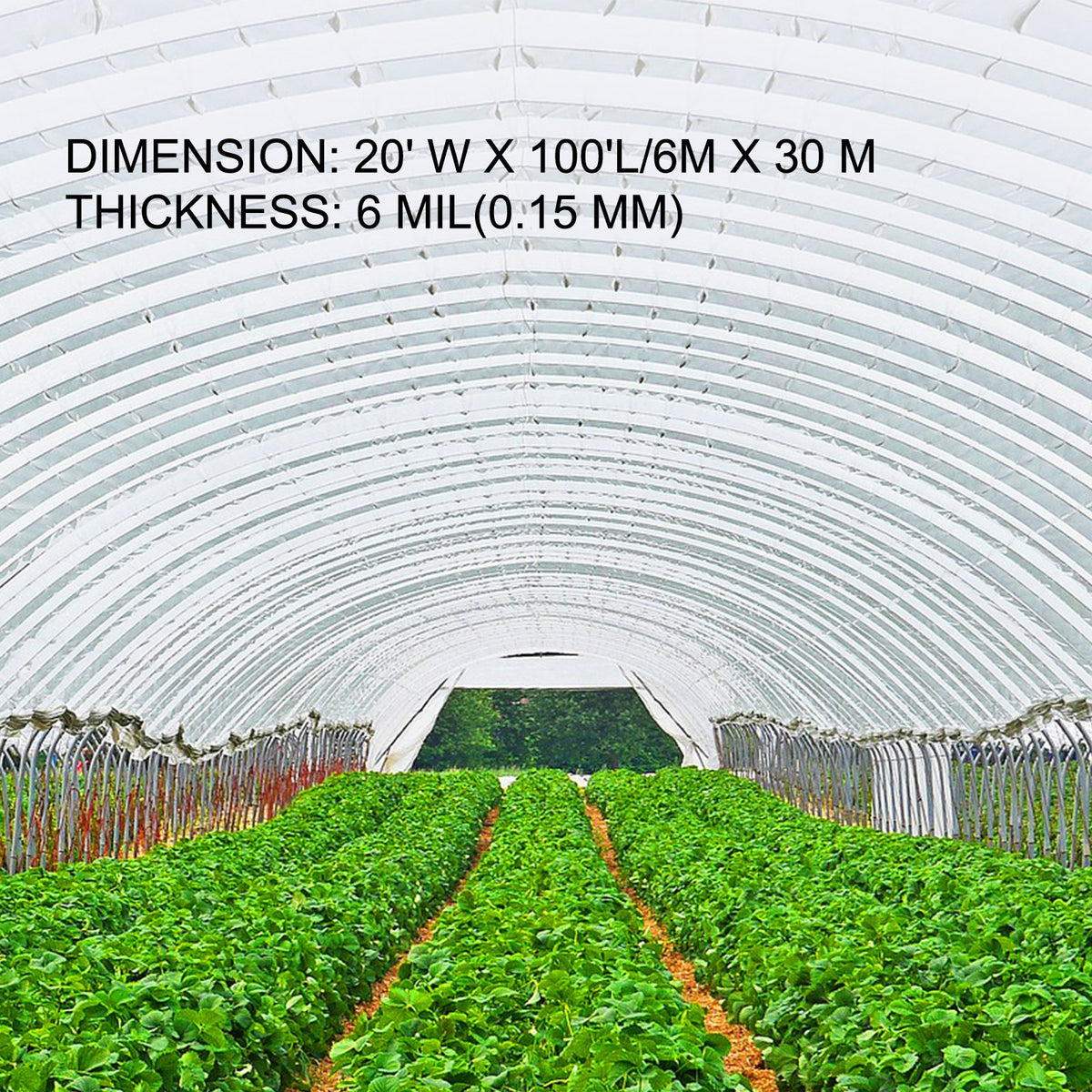 VEVOR Greenhouse Cover Film - Select Your Configuration - PEWSM20100FT00001V0 - view 3