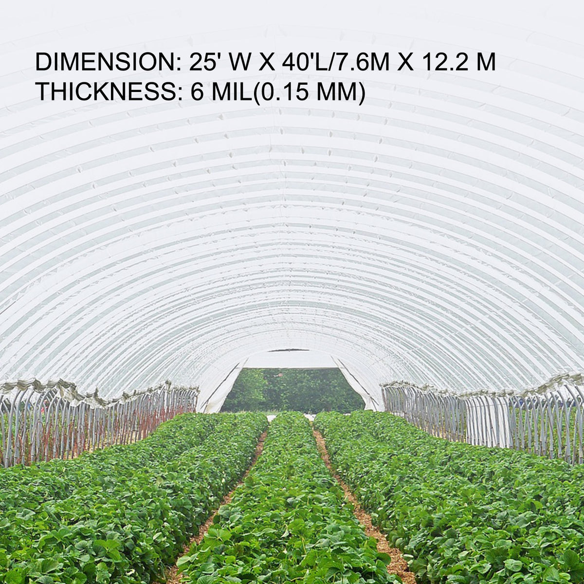 VEVOR Greenhouse Cover Film - Select Your Configuration - PEWSM2540FT000001V0 - view 3